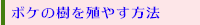 ボケの樹を殖やす方法