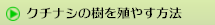 クチナシの樹を殖やす方法