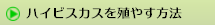 ハイビスカスを殖やす方法