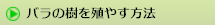バラを殖やす方法